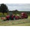 Meadow Hay Mix