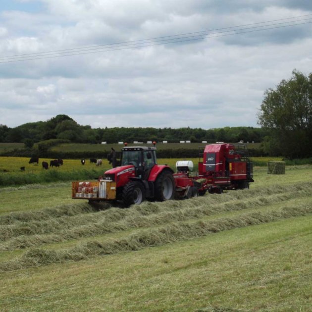 Meadow Hay Mix