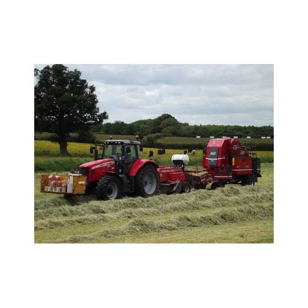 Meadow Hay Mix