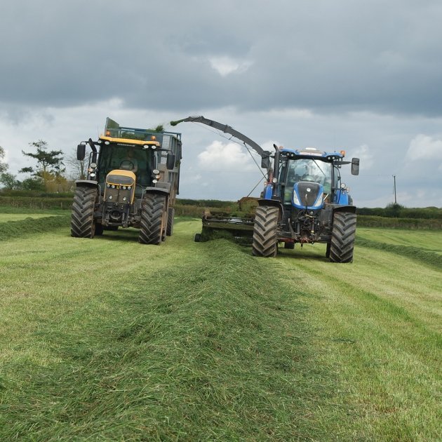 Claymore without Clover