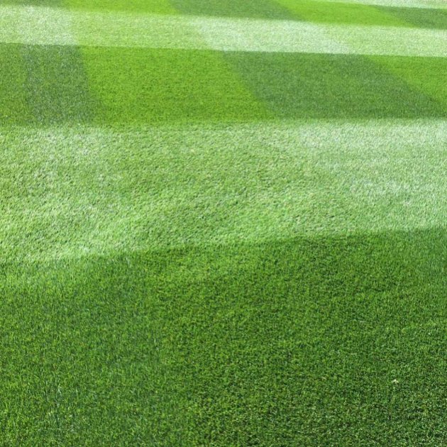 Fineturf